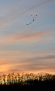 sunsetflyoverbybrucestambaugh