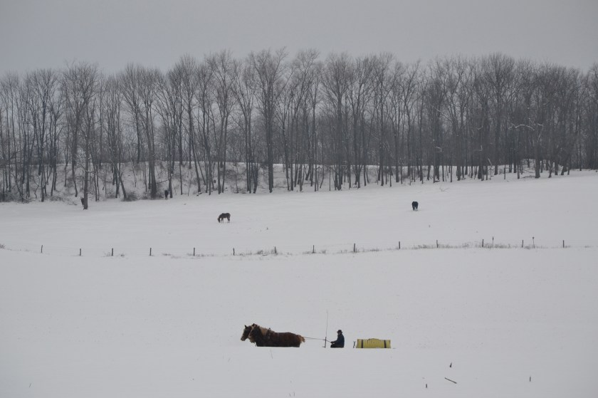 honeywagonbybrucestambaugh