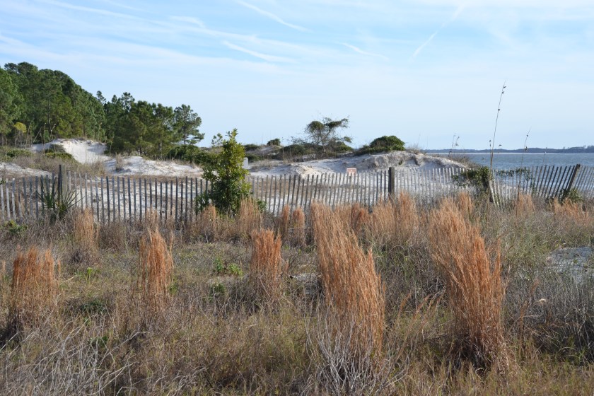 ameliaislandstateparkbybrucestambaugh