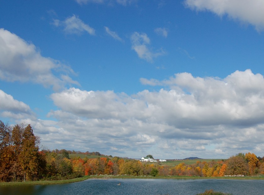 partlysunnybybrucestambaugh