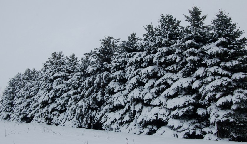 marchsnowbybrucestambaugh