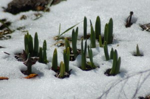 pushingthroughbybrucestambaugh