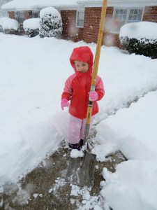 littleshovelerbybrucestambaugh