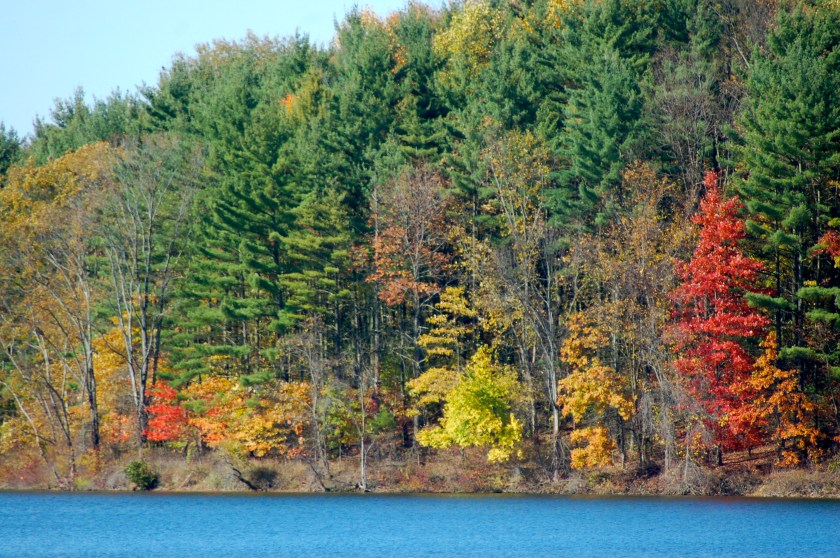 colorsalongthelakebybrucestambaugh