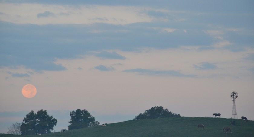 fullmoonsettingbybrucestambaugh