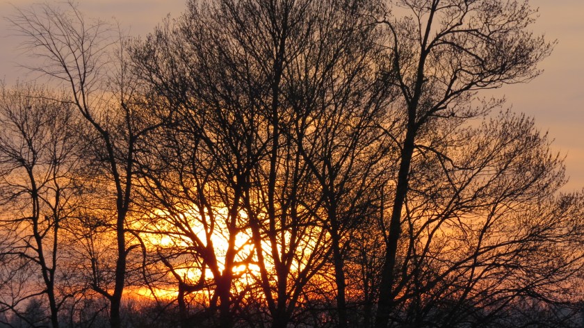 hopefulsunrisebybrucestambaugh