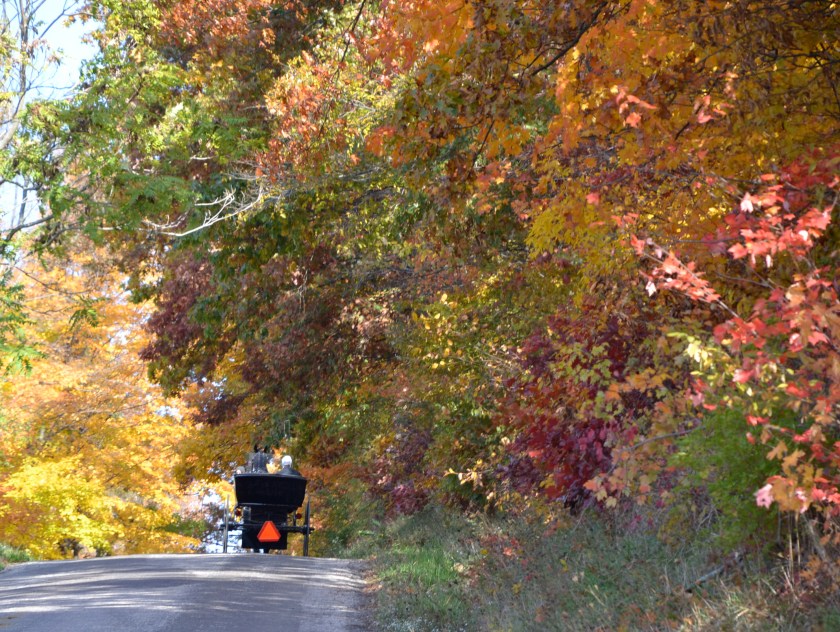 colorfulbuggybybrucestambaugh