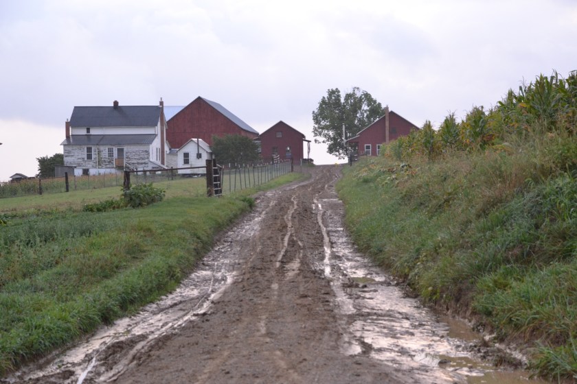 muddylanebybrucestambaugh