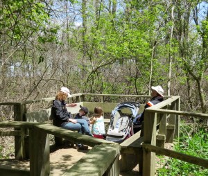 youngbirdersbybrucestambaugh