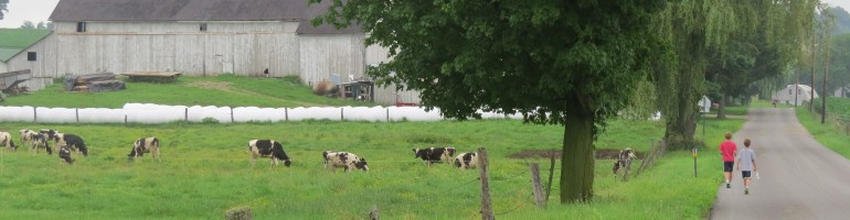 Walking with the grandsons generates more than&nbsp;exercise