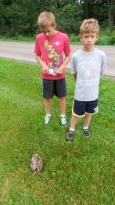 checkingitoutbybrucestambaugh