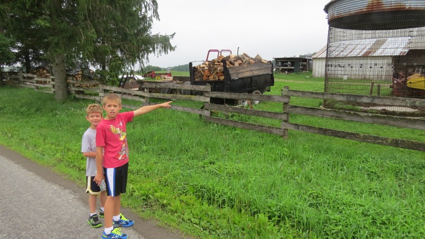 wagonloadofwoodbybrucestambaugh