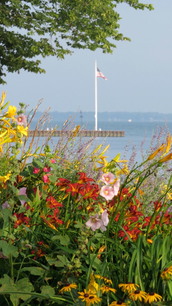 colorfulflowersbybrucestambaugh