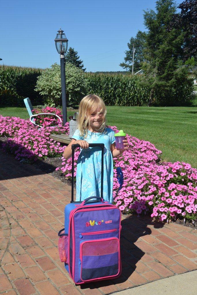 marenssuitecasebybrucestambaugh