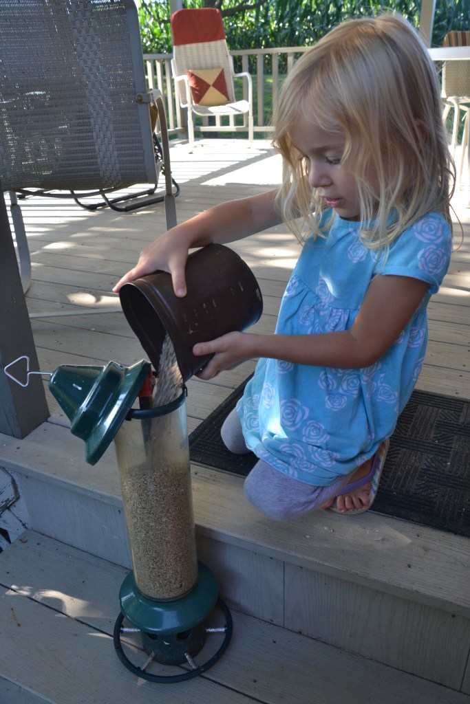 fillingthefeederbybrucestambaugh