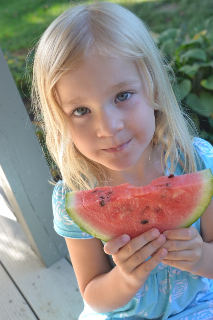 firstbitebybrucestambaugh