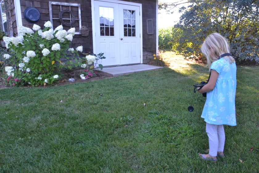 takingpicturesbybrucestambaugh