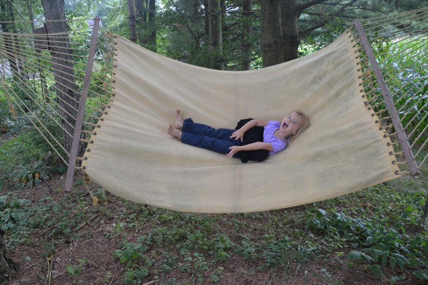 swingingonthehammockbybrucestambaugh