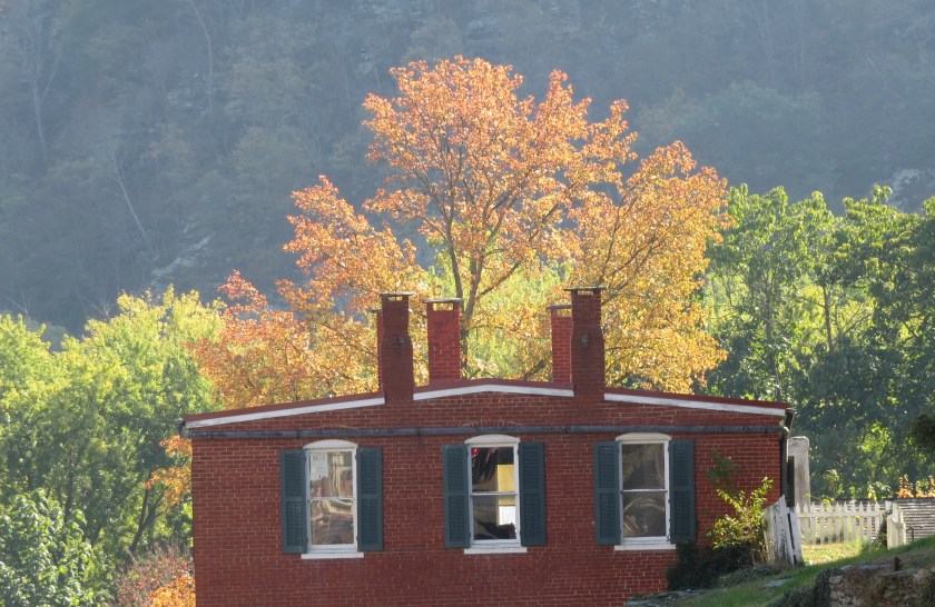 lowertownwindowsbybrucestambaugh