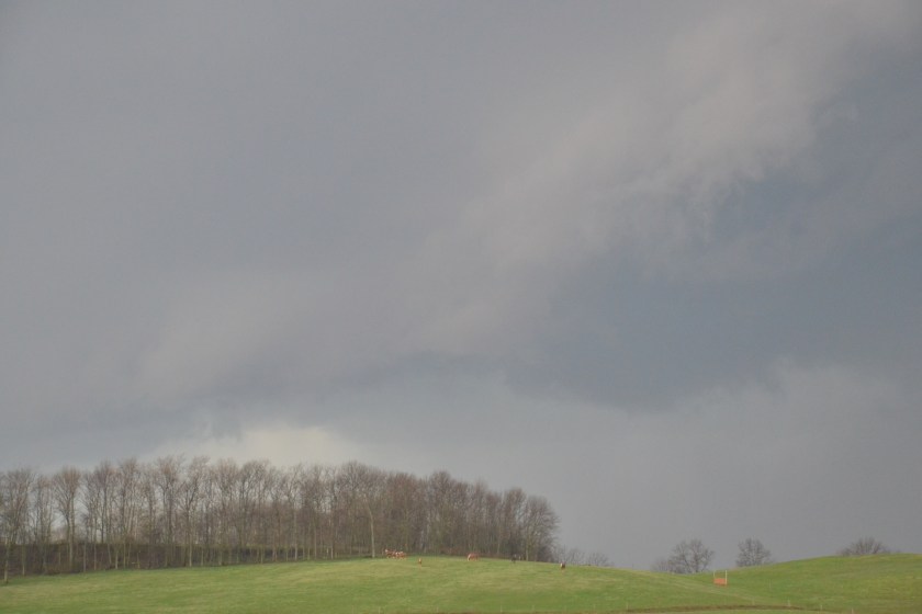 springstormbybrucestambaugh