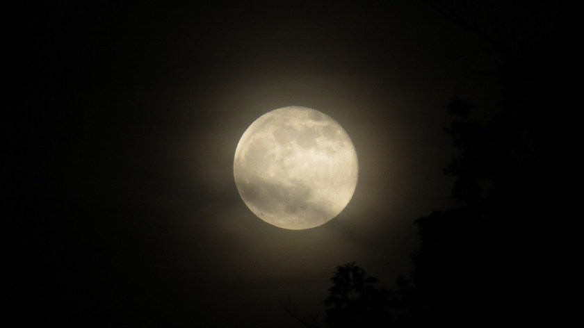 mayfullmoonbybrucestambaugh