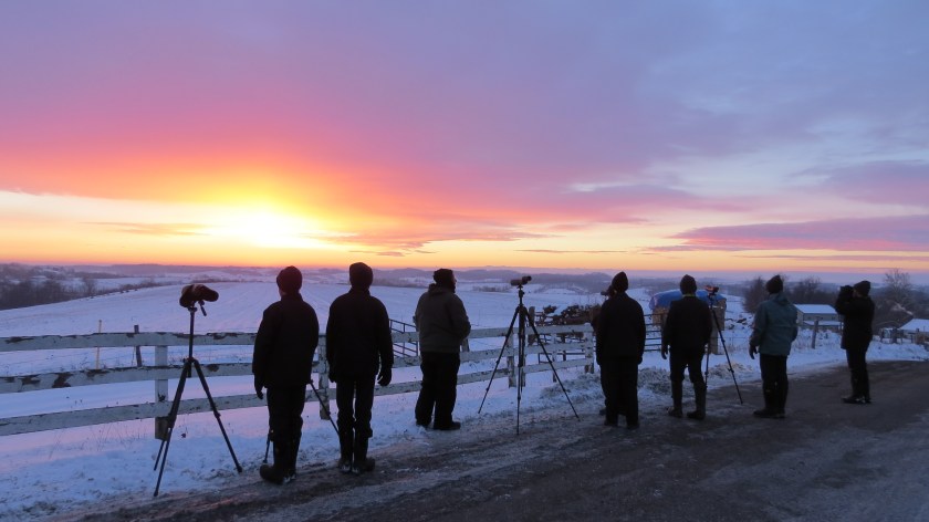 birdersatsunrisebybrucestambaugh