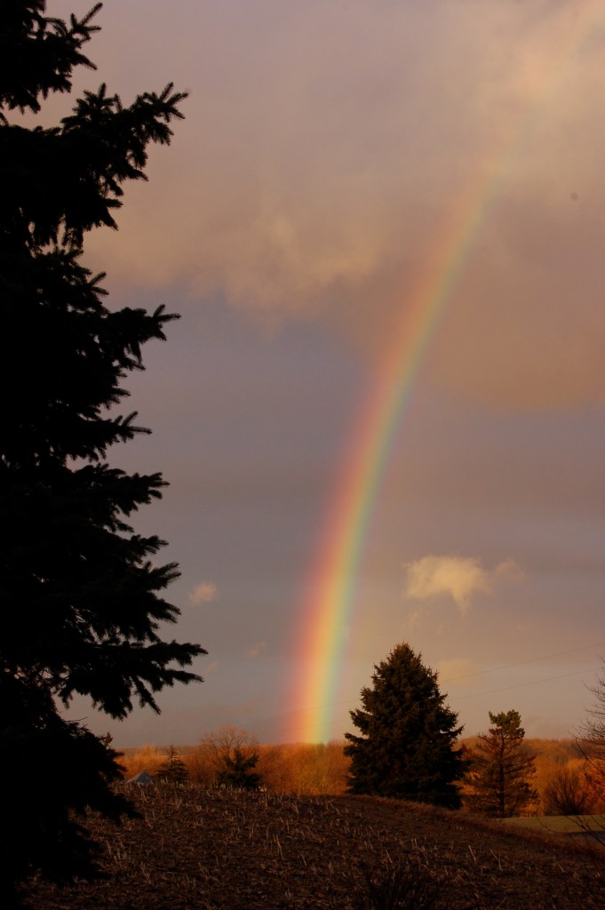 rainbowbybrucestambaugh