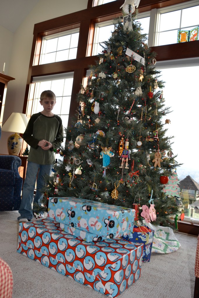 checkingthegiftsbybrucestambaugh