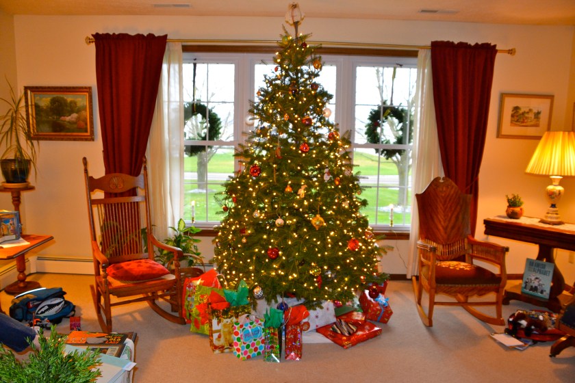 christmastreebybrucestambaugh