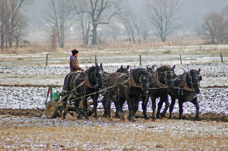 coldplowingbybrucestambaugh