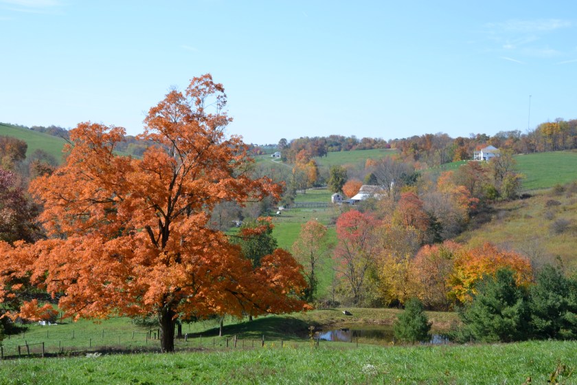 autumnofmylifebybrucestambaugh