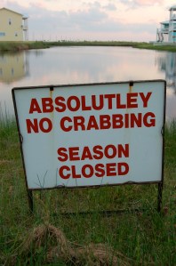 nocrabbingbybrucestambaugh