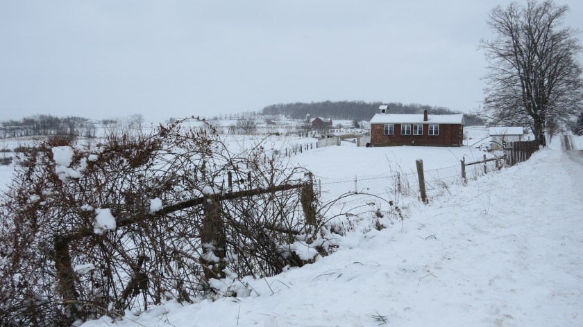 schoolinsnowbybrucestambaugh