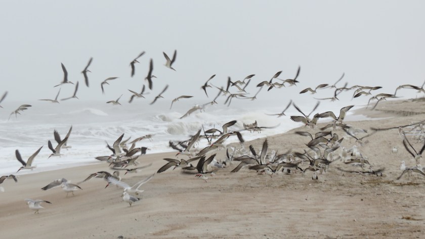 takingoffbybrucestambaugh