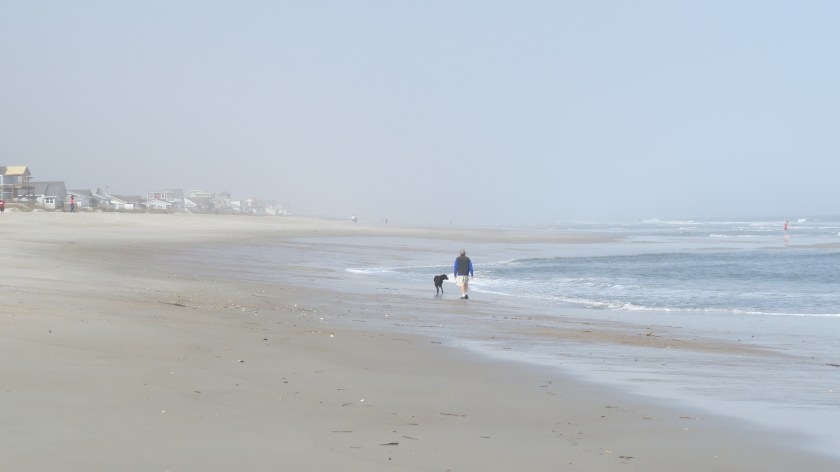 beachwalkerbybrucestambaugh