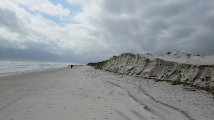 erodingbeachbybrucestambaugh