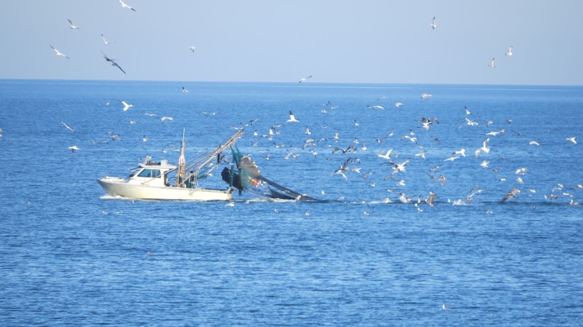 shrimpboatbybrucestambaugh