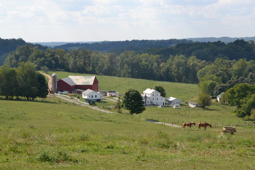 summerafternoonbybrucestambaugh