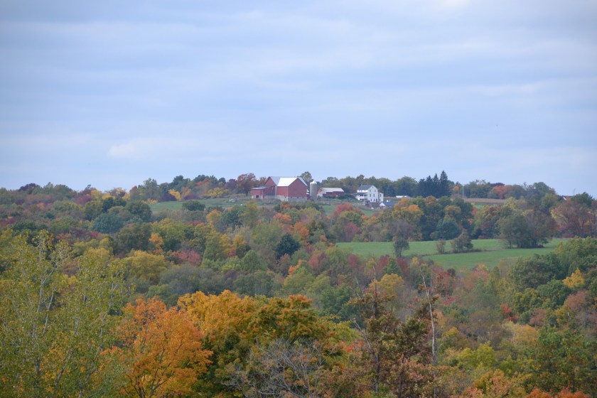 earlyfallbybrucestambaugh