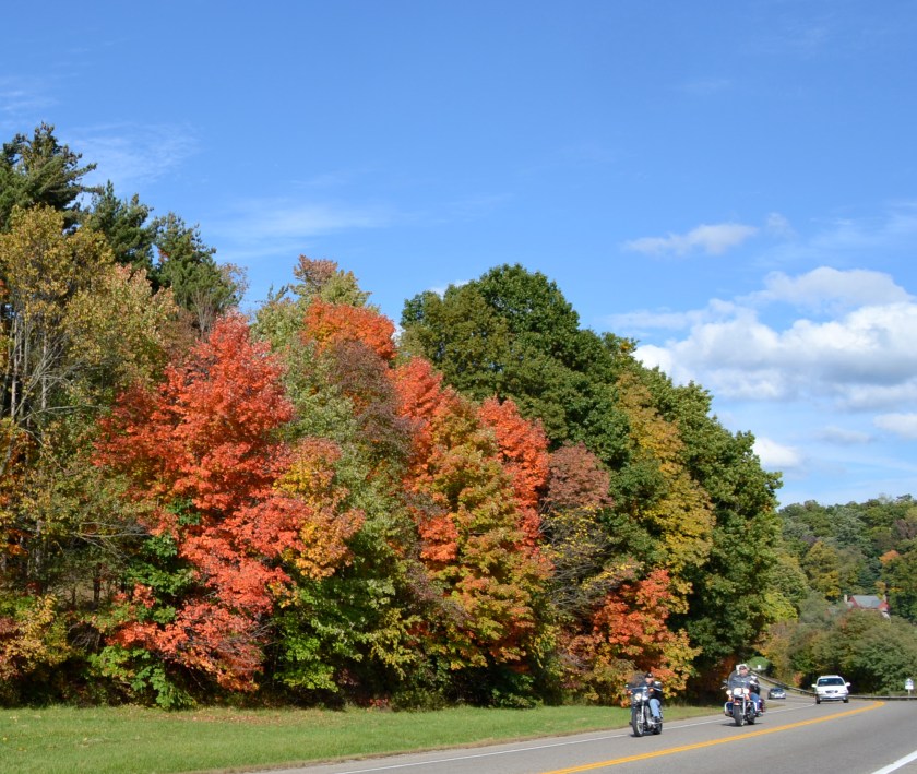 colorsbybrucestambaugh