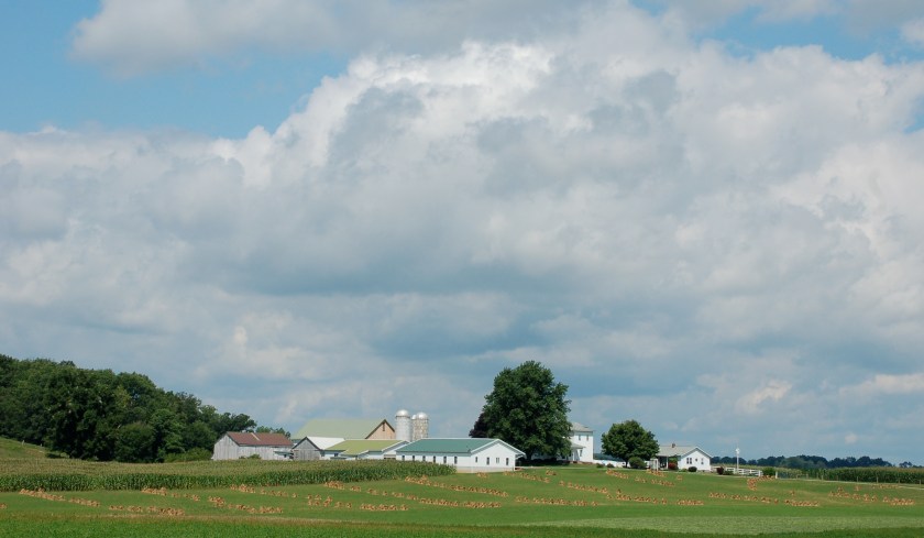 summerdaybybrucestambaugh