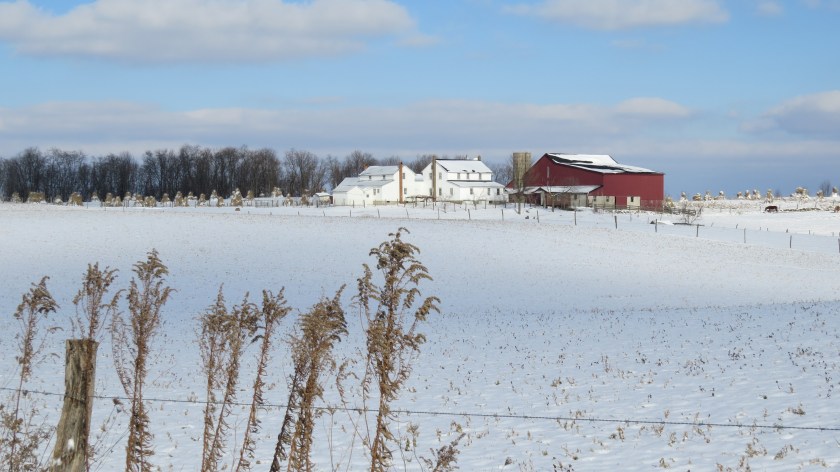 backhomebybrucestambaugh