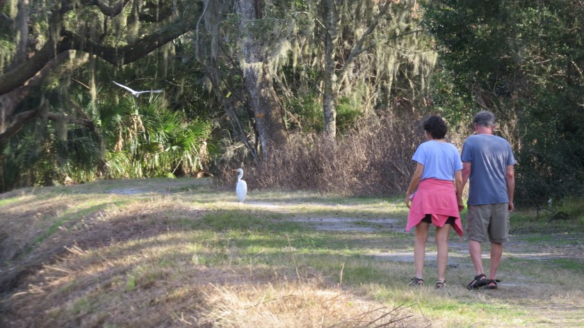 wildlifeandpeoplebybrucestambaugh