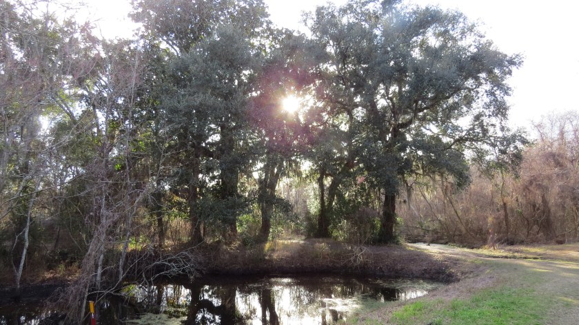 afternoonsunbybrucestambaugh