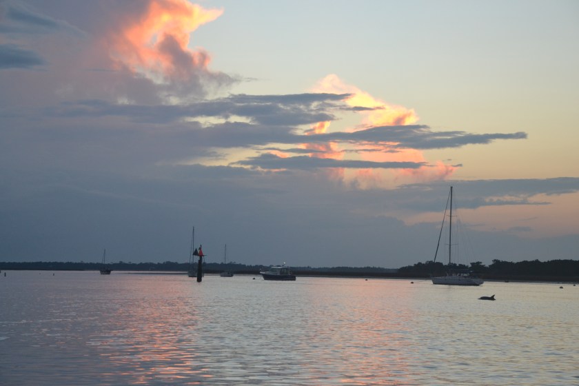 dolphinbybrucestambaugh