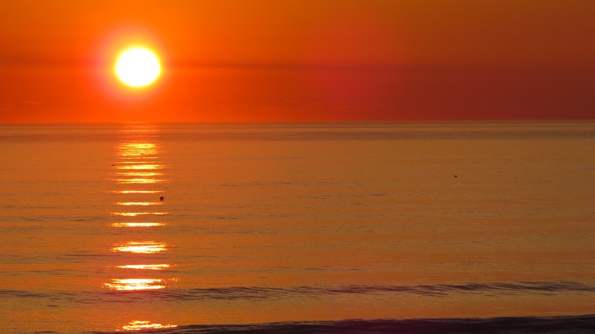 orangebybrucestambaugh