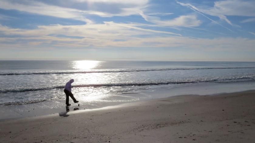 silverdancebybrucestambaugh