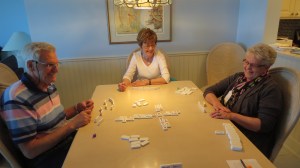 dominosbybrucestambaugh