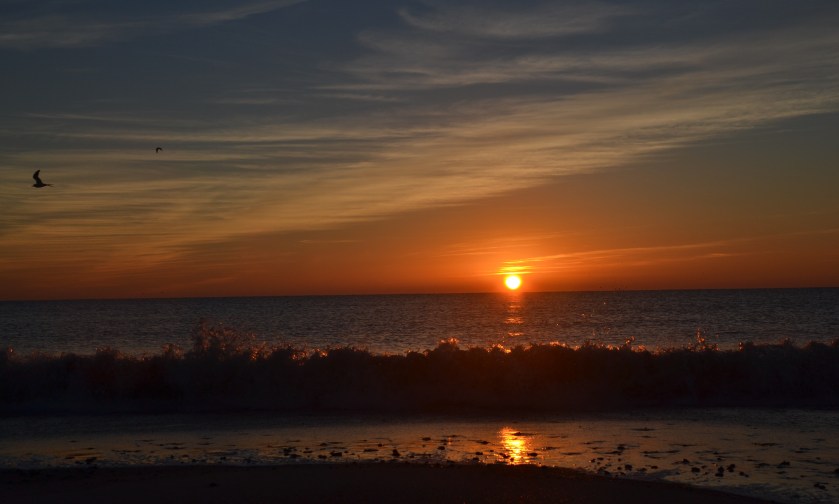 goldenwavebybrucestambaugh