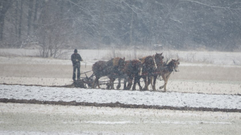 plowinginthesnowbybrucestambaugh